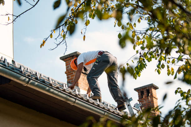 Roof Insulation Installation in Kountze, TX